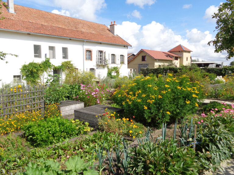Ferme de Flagey x La bellecolette